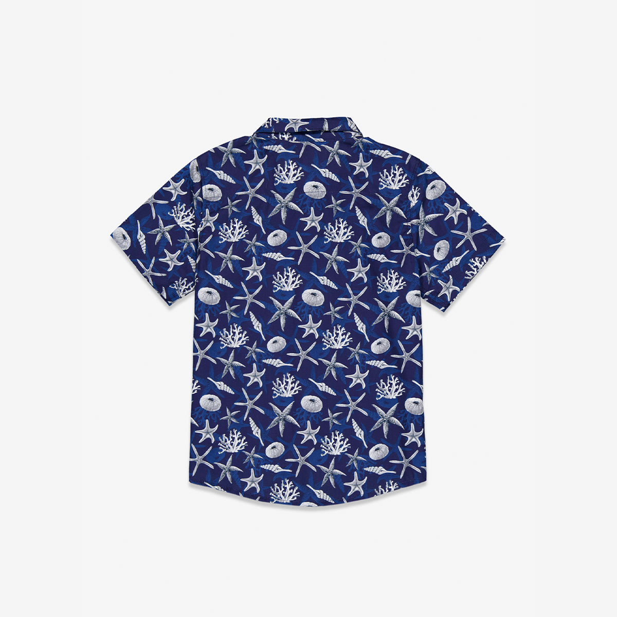 Camisa hawaiana para niño Asteria
